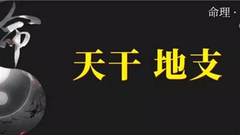 天干地支相沖|命理基礎知識梳理05：天干地支匯總，你需要的都在這。